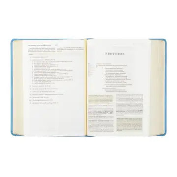 ESV- Study Bible- Bethany Theme