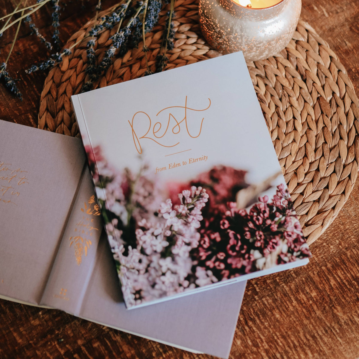 Rest- From Eden to Eternity Bible Study