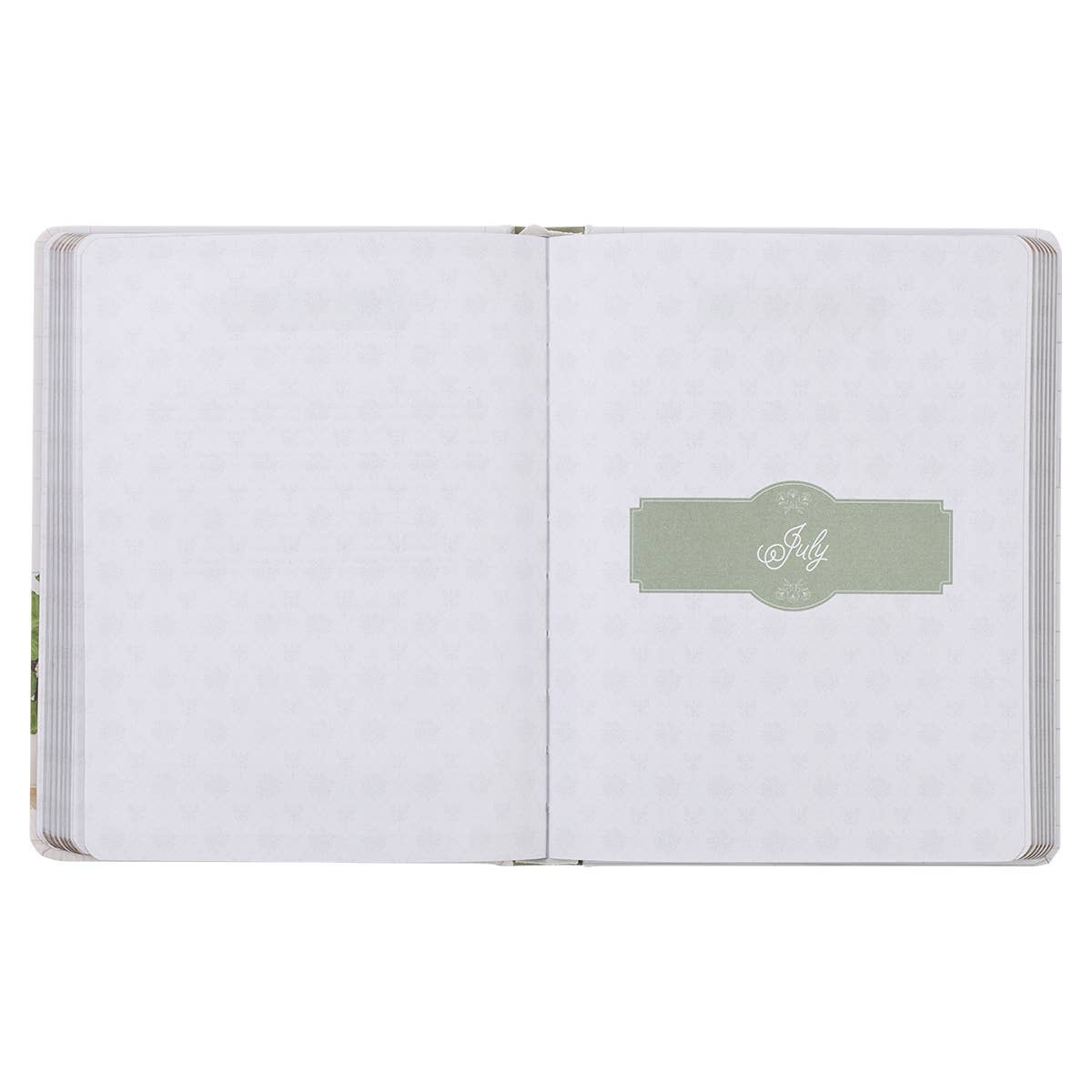 Daily Hope for a Woman's Heart Hardcover