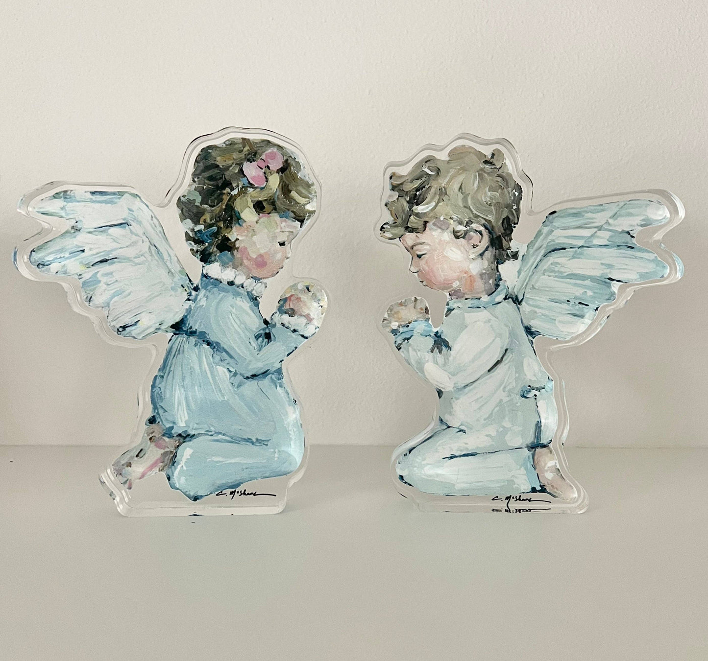 Tiny Wings Acrylic Shelfie
