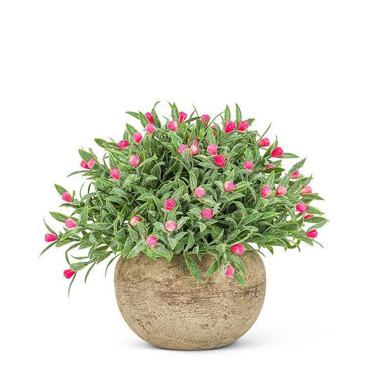 Small Pink Flowering Pot