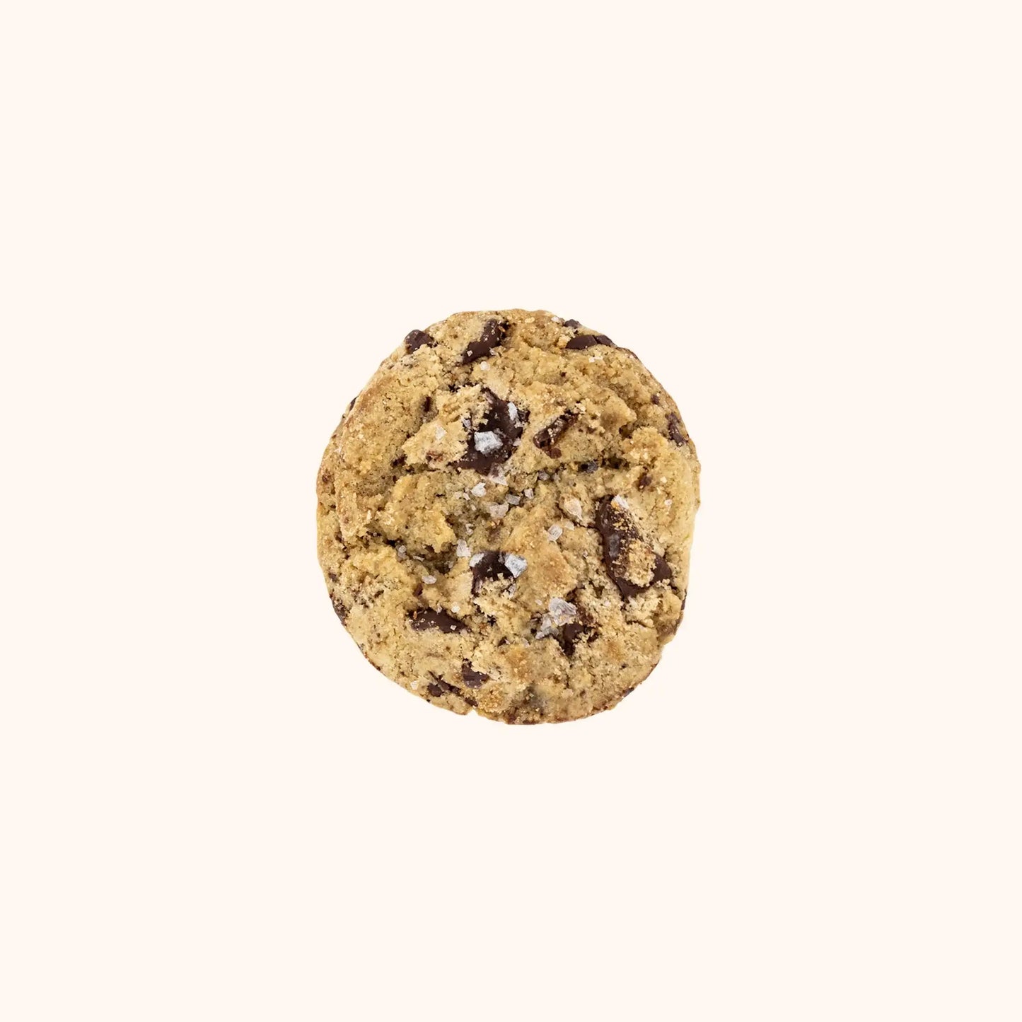 Chocolate Chip Soft Single Gourmet Cookie - Snack Packs
