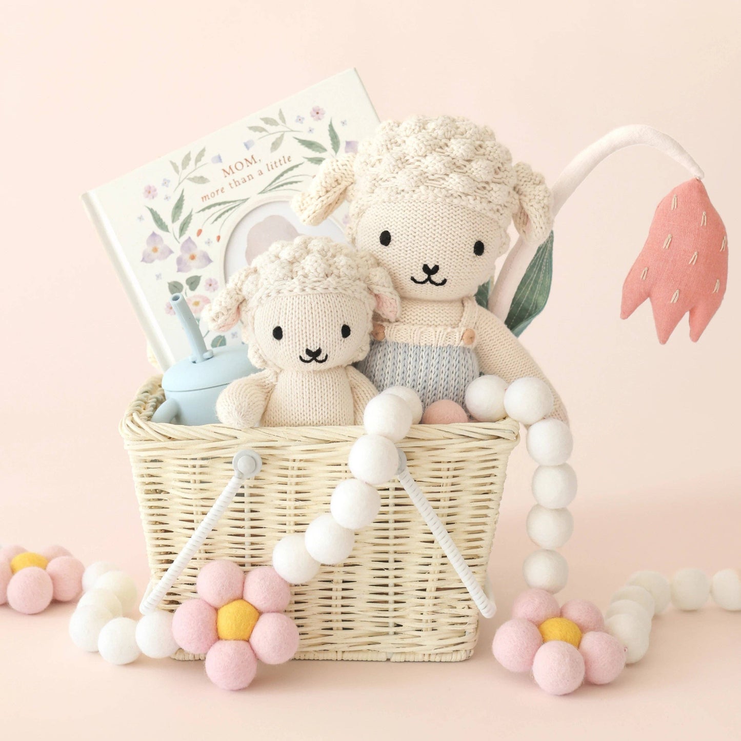 Benjamin The Lamb