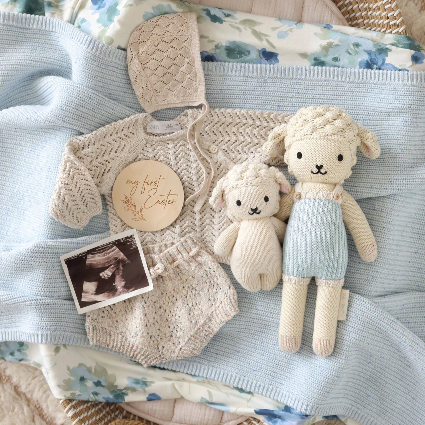 Benjamin The Lamb