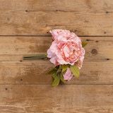 11" Blush Peony Bush