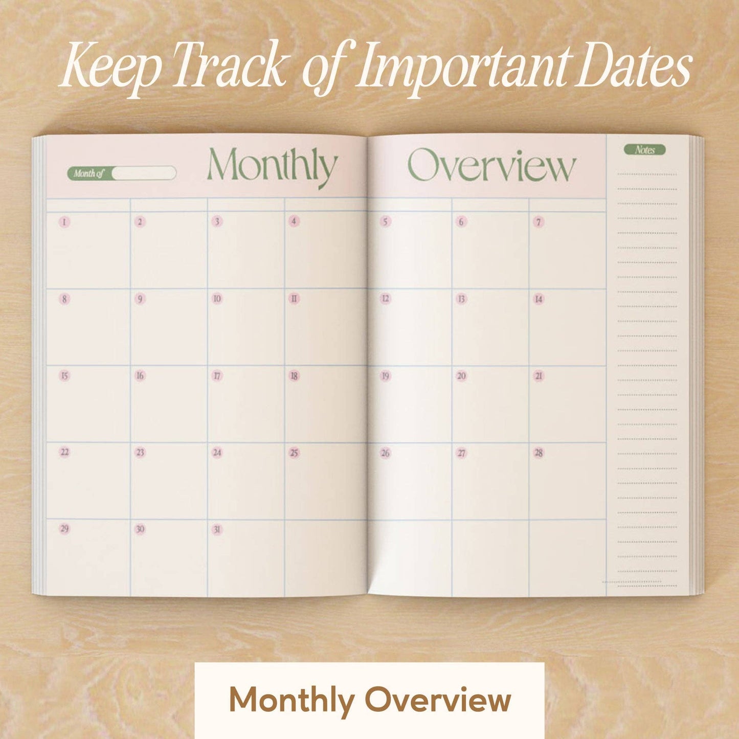 Daily Planner | Teacake