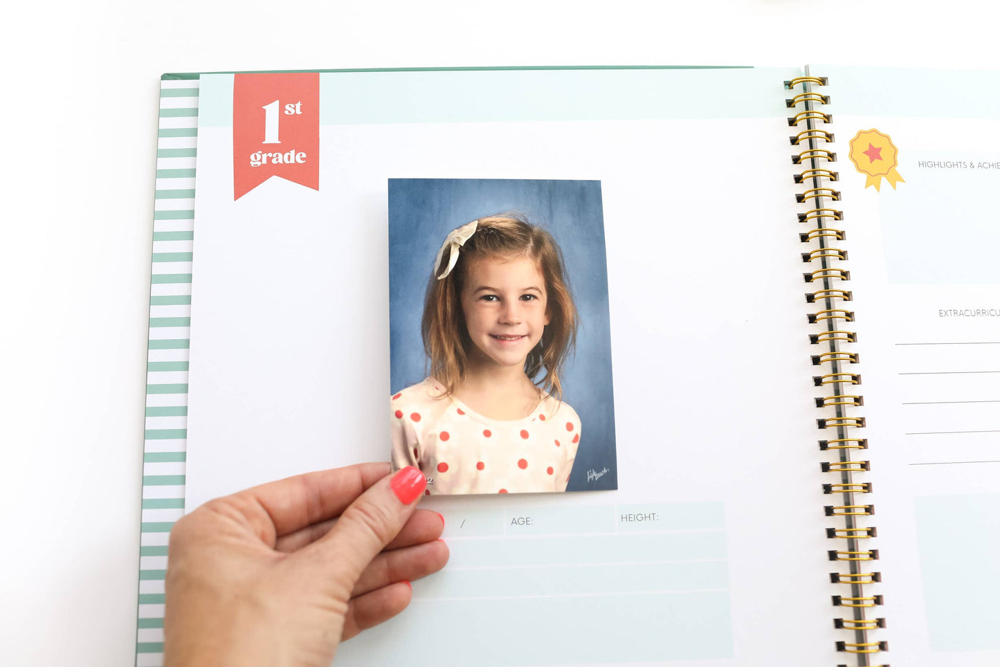 The School Years Memory Book