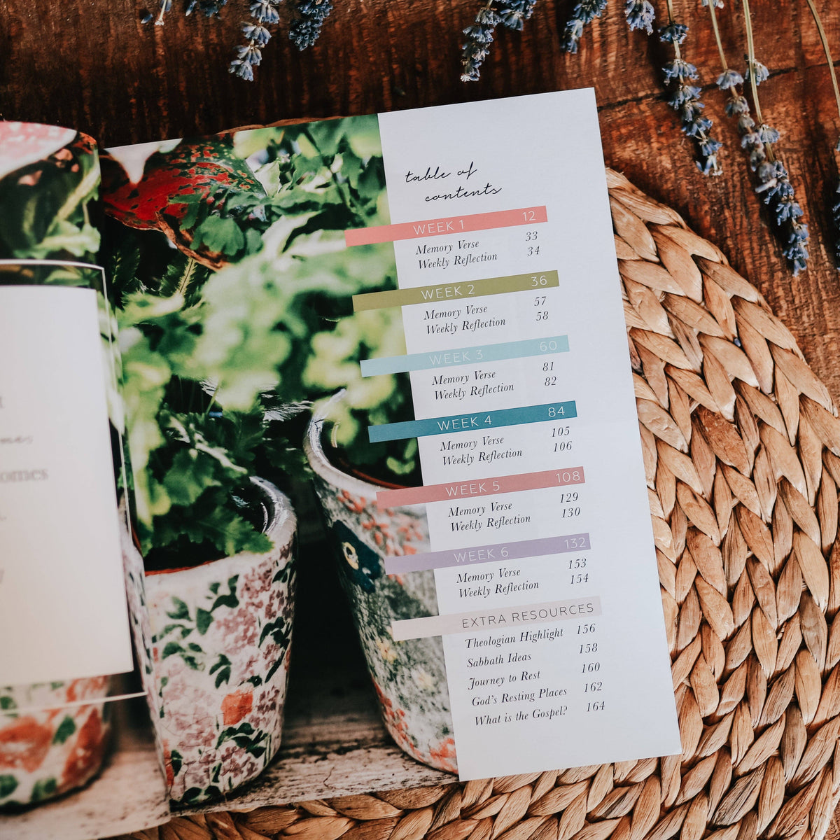 Rest- From Eden to Eternity Bible Study