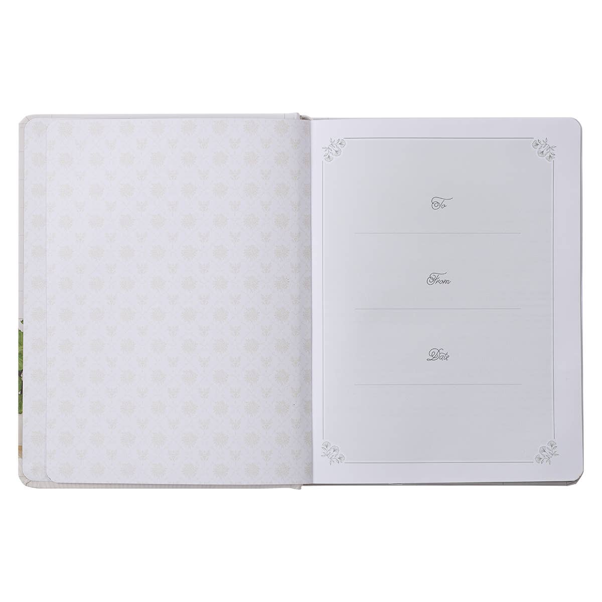 Daily Hope for a Woman's Heart Hardcover