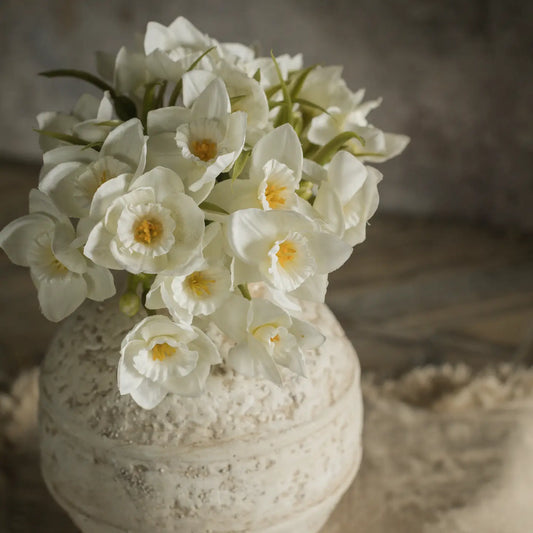 9.5" White Daffodil Bundle