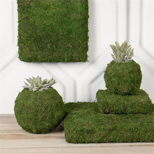 Moss Risers