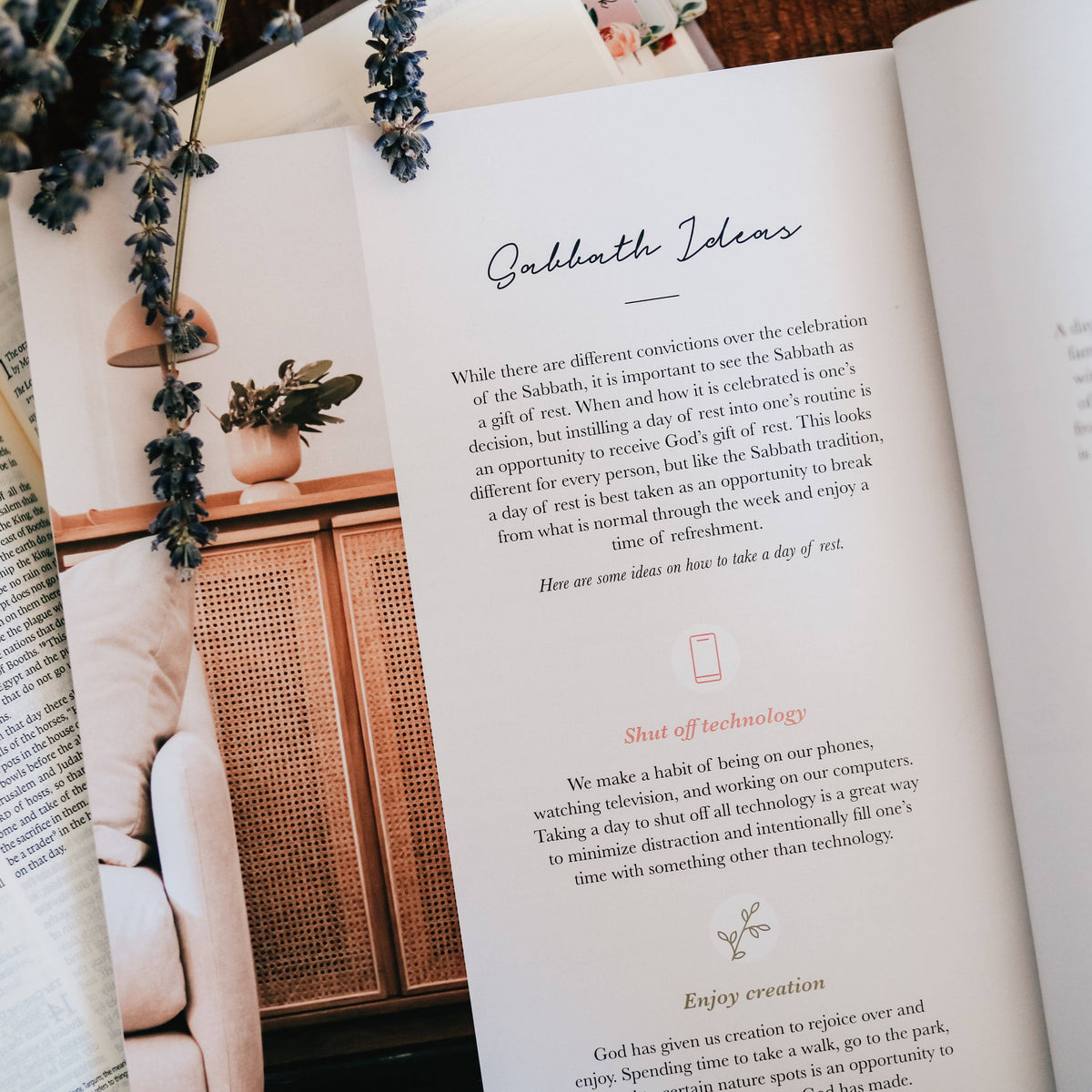 Rest- From Eden to Eternity Bible Study