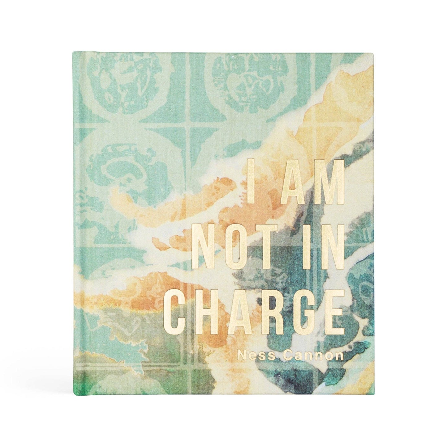 I Am Not In Charge - Bible Study