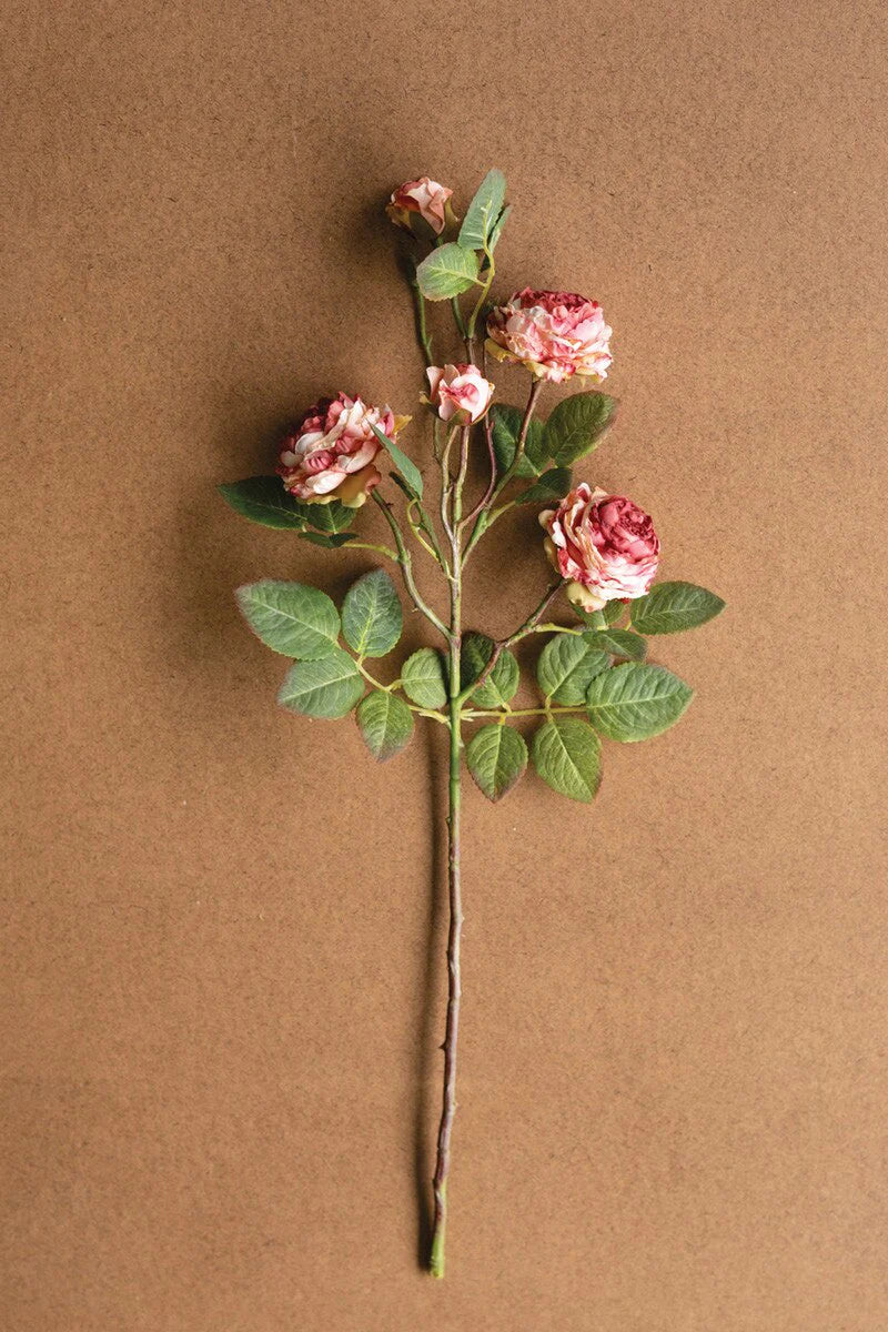 Antique Garden Rose Stem