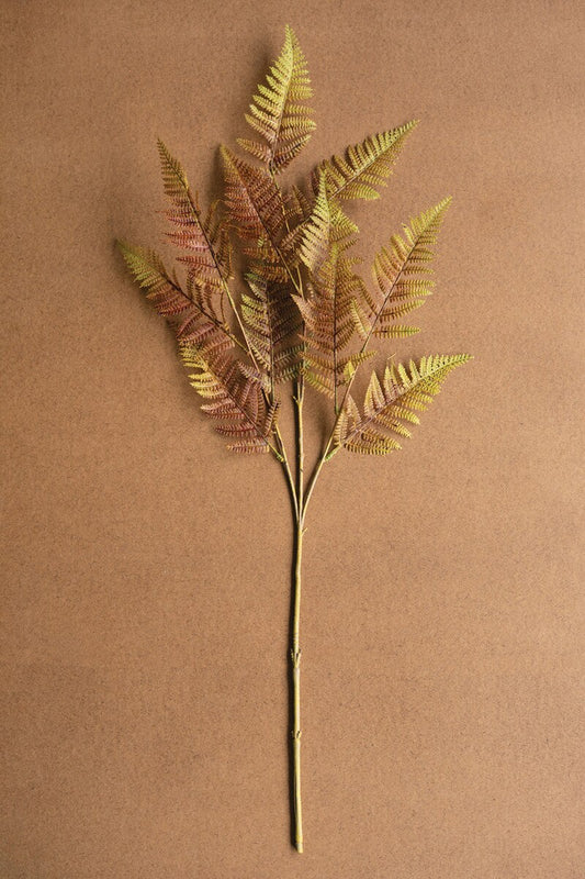 Autumn Fern Stem