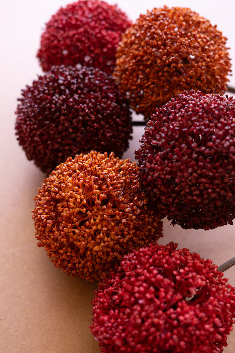 Allium Ball Stem