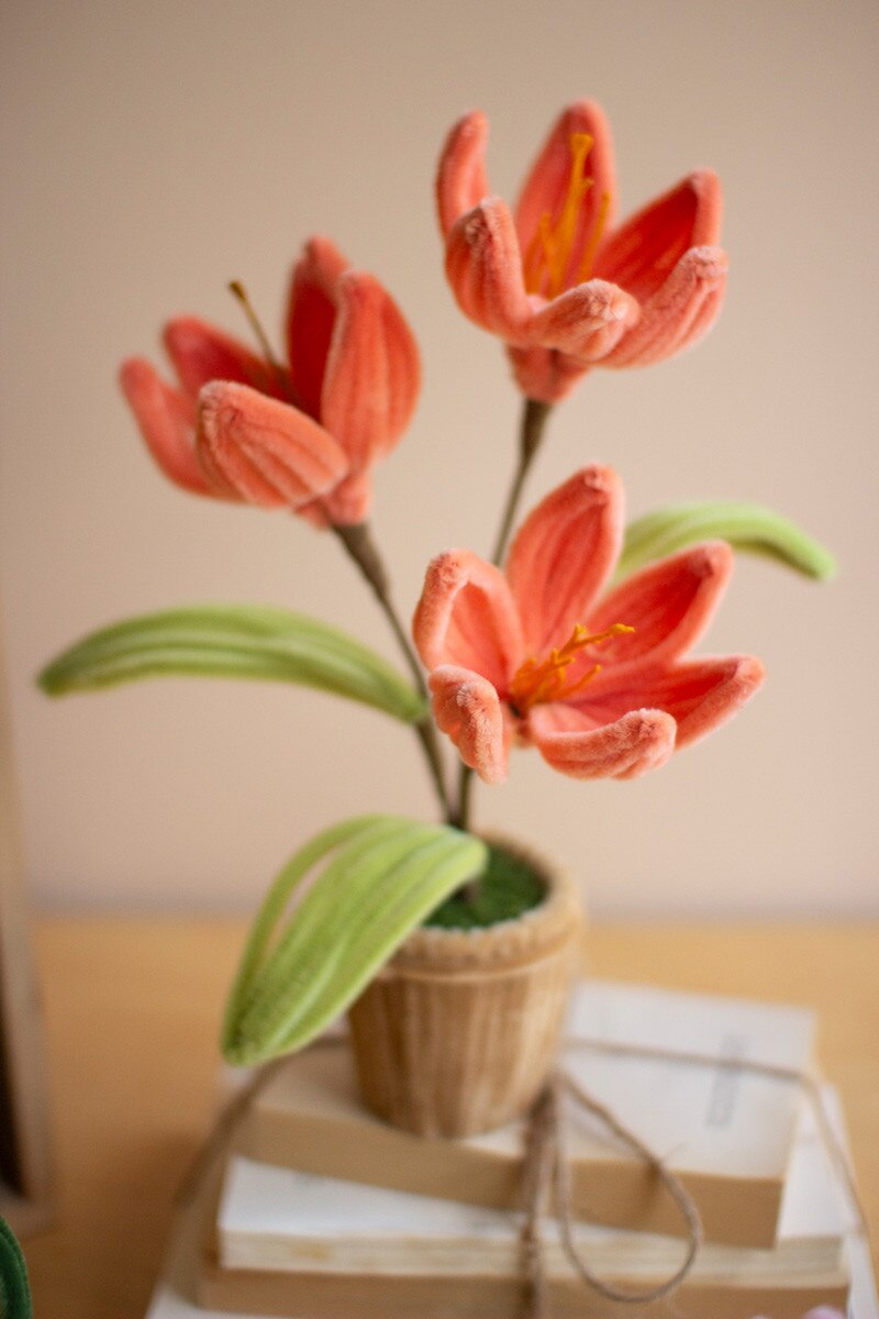 Potted Pipe Cleaner Botanicals