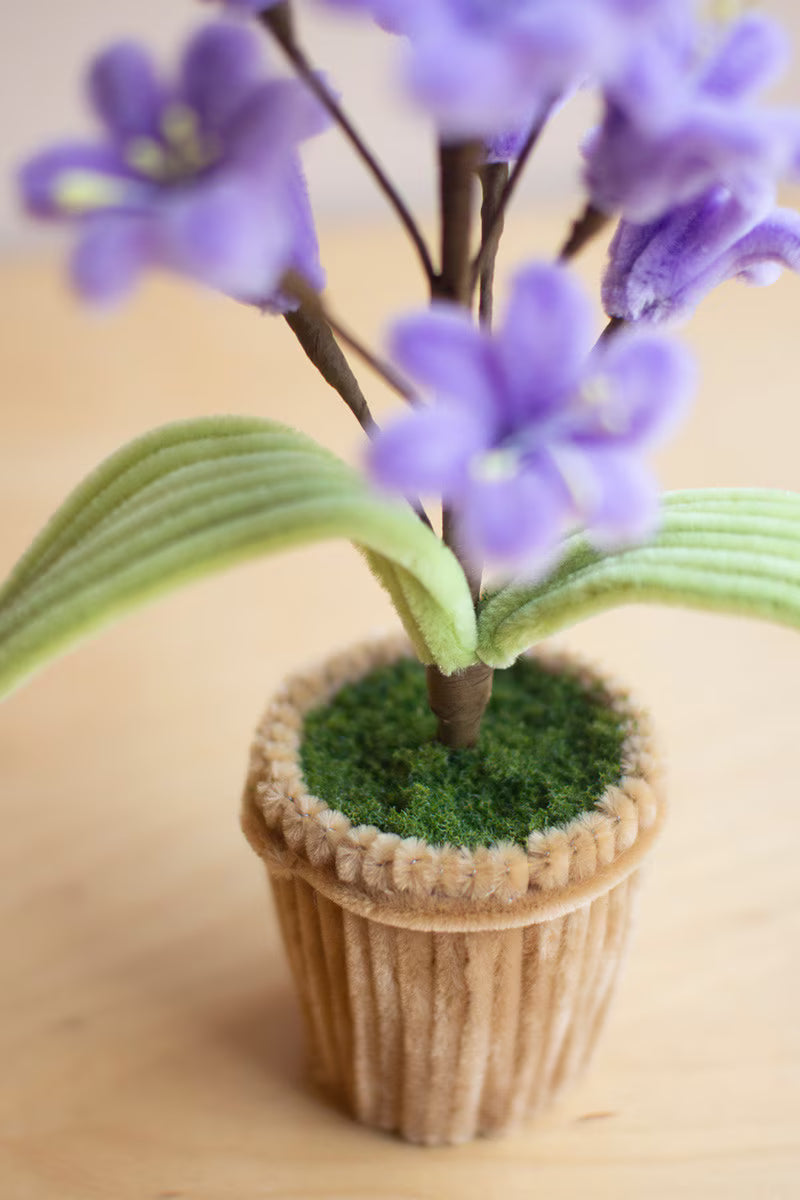 Potted Pipe Cleaner Botanicals