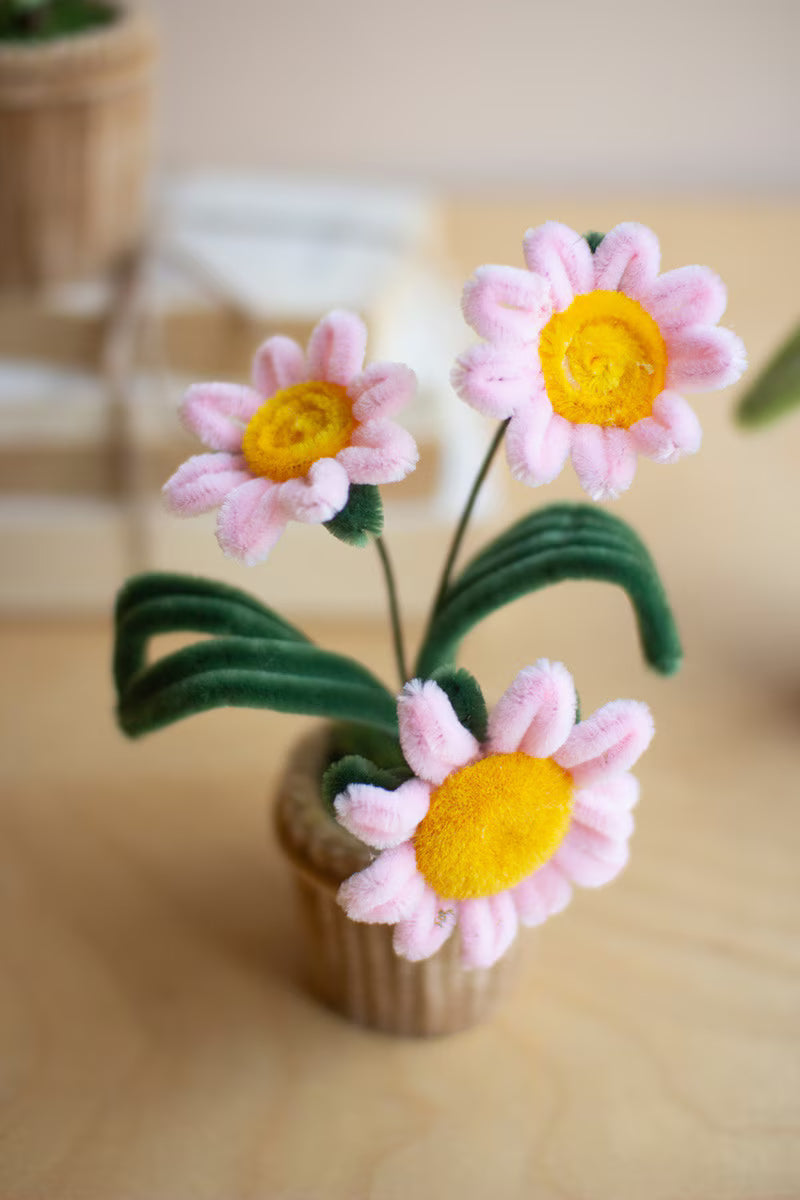 Potted Pipe Cleaner Botanicals