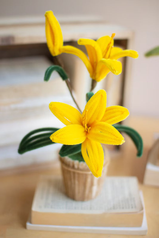Potted Pipe Cleaner Botanicals