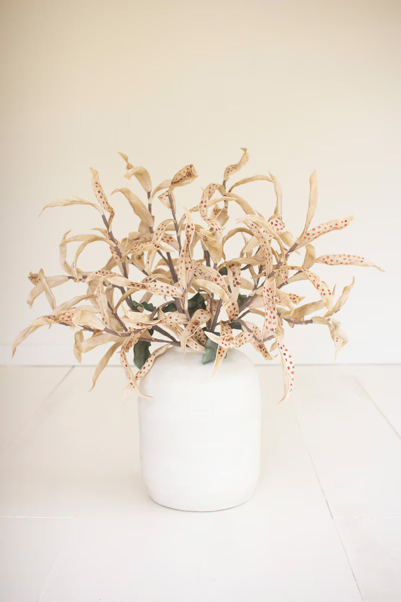 36" Polka Dot Botanical