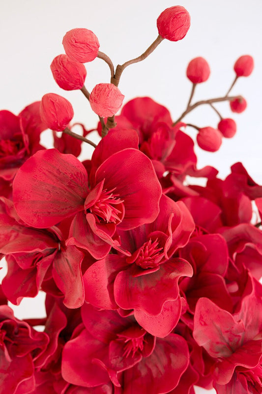 40" Red Botanical