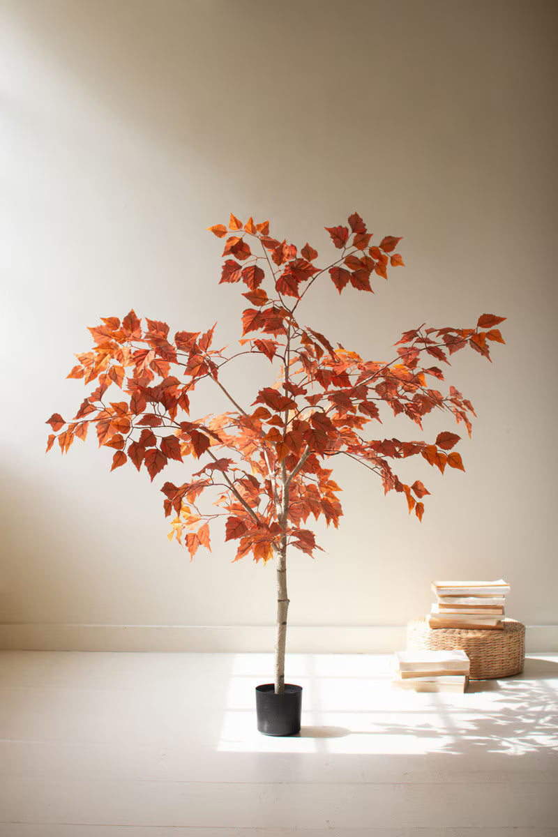 55" Autumn Birch Tree