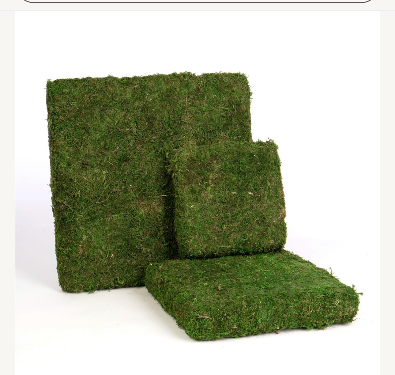 Moss Risers