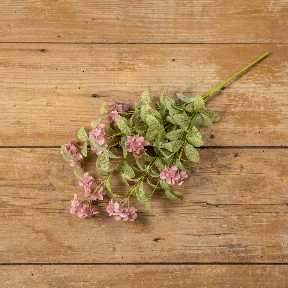 20" Hydrangea Bush