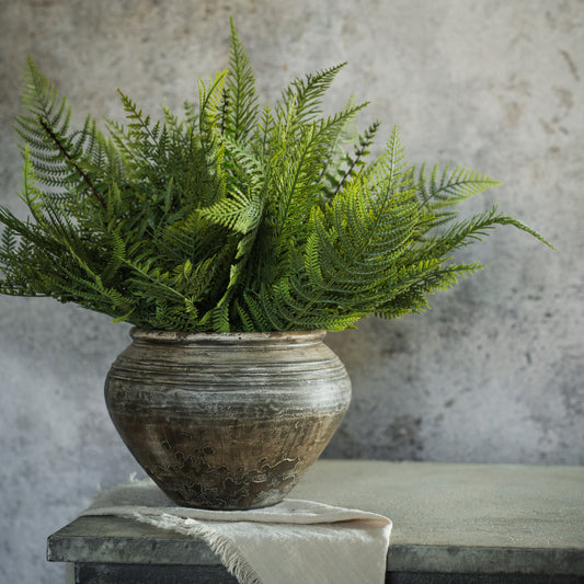 16" Mixed Fern Bush