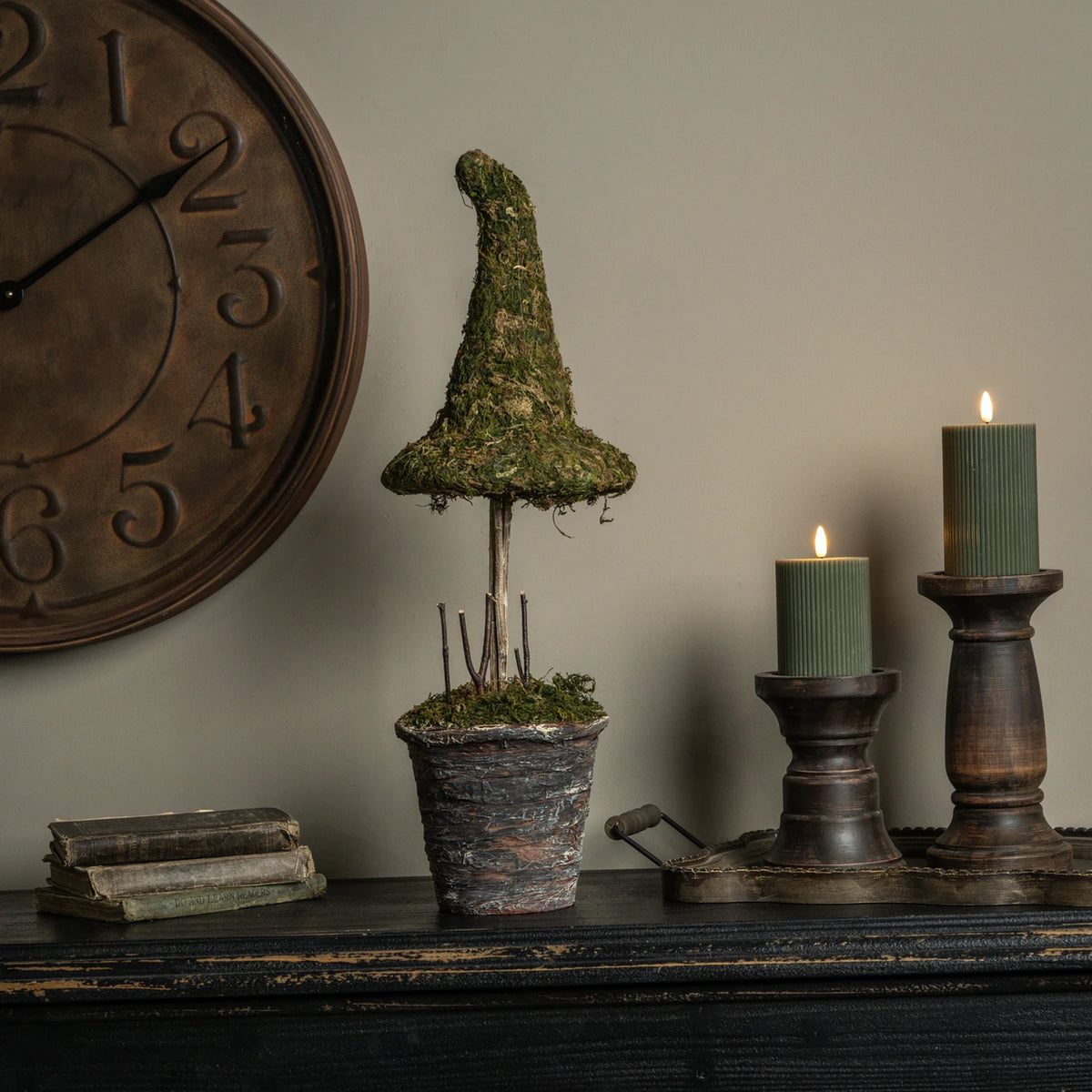 Potted Moss Witch's Hat