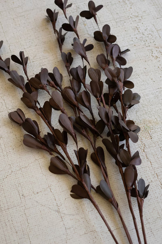 33" Brown Dried Rud Sticks