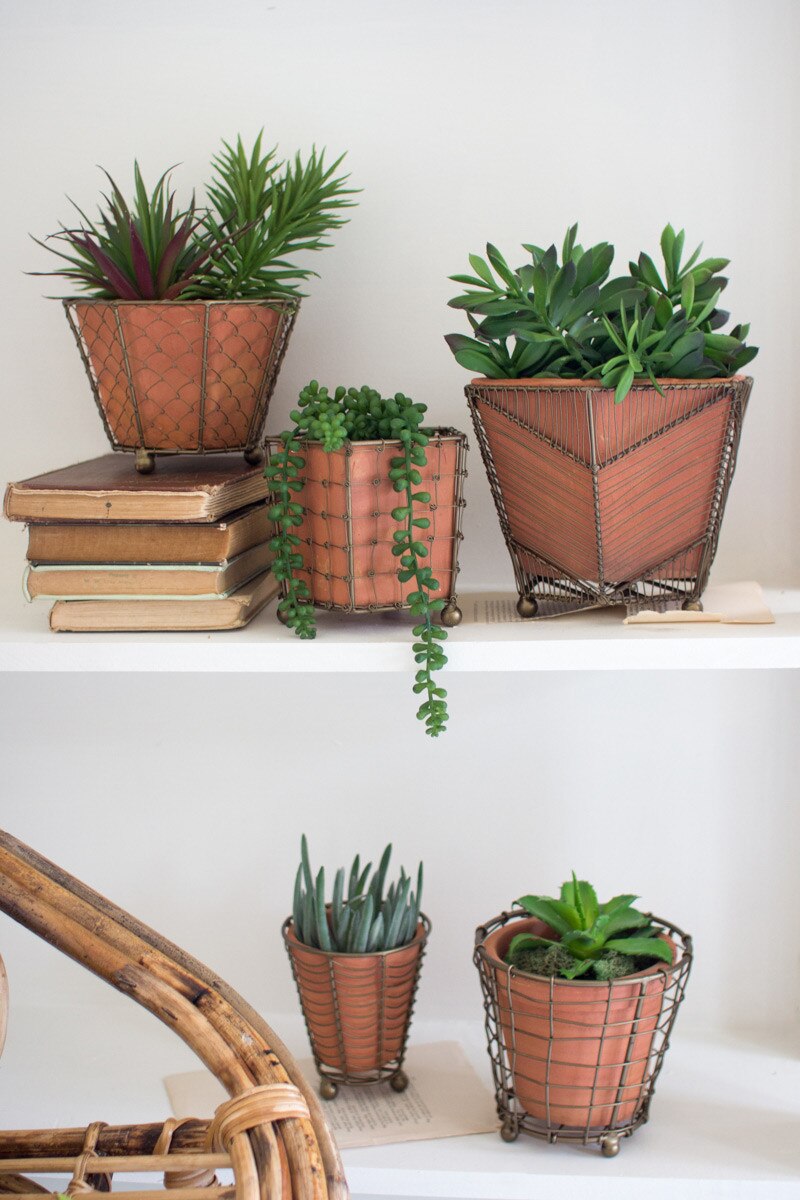 Terracotta Pot in Wire Base