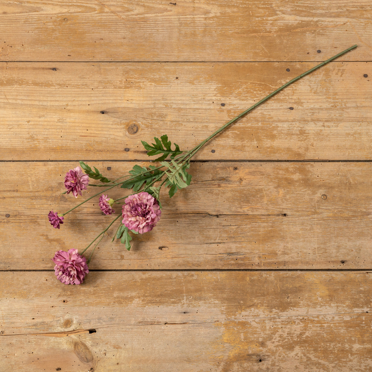 31.5" Deep Pink Daisy Stem