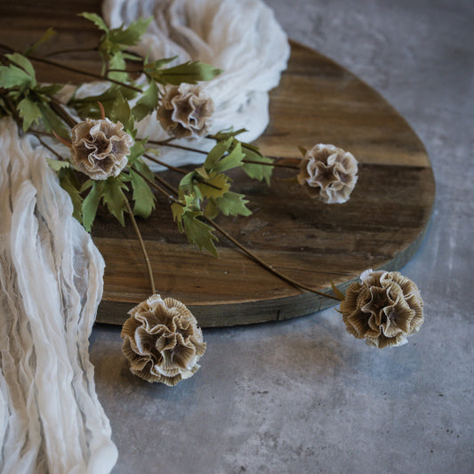 38" Tan Scabiosa Stem