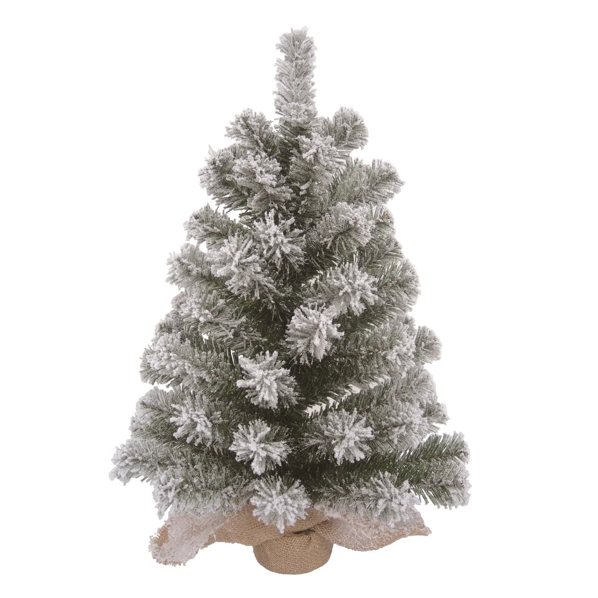Colorado Tree