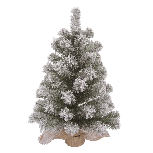 Colorado Tree