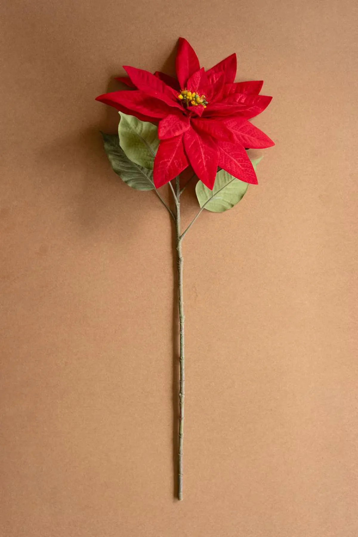 Stemmed Poinsettia