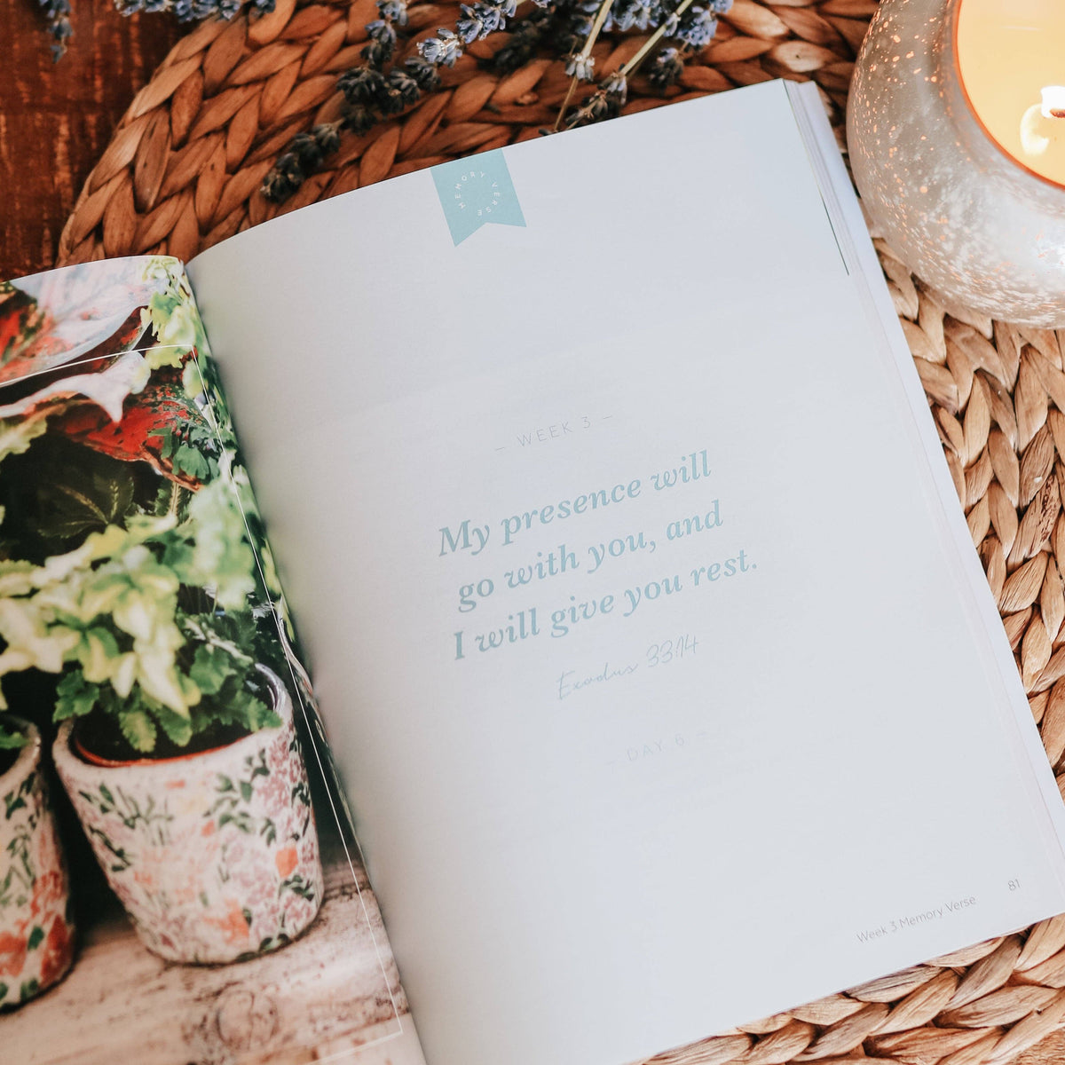 Rest- From Eden to Eternity Bible Study