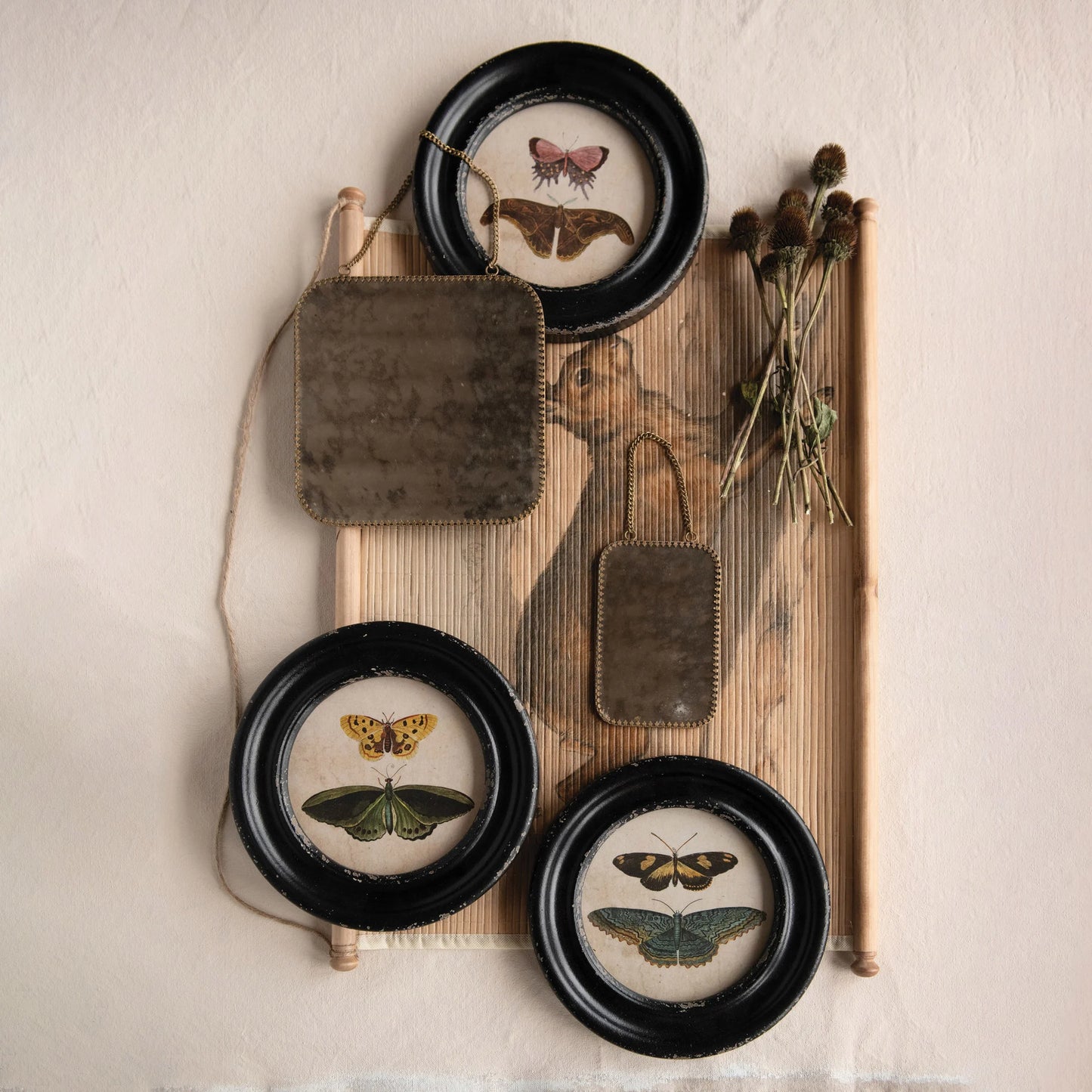 Vintage Moth & Butterflies Picture Frame