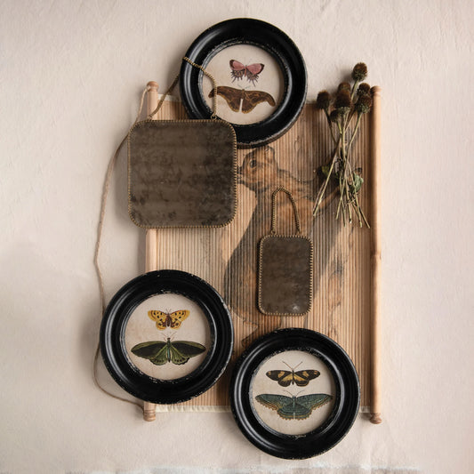 Vintage Moth & Butterflies Picture Frame