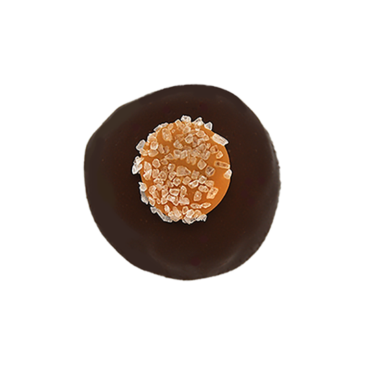 Sea Salt Caramel Truffle