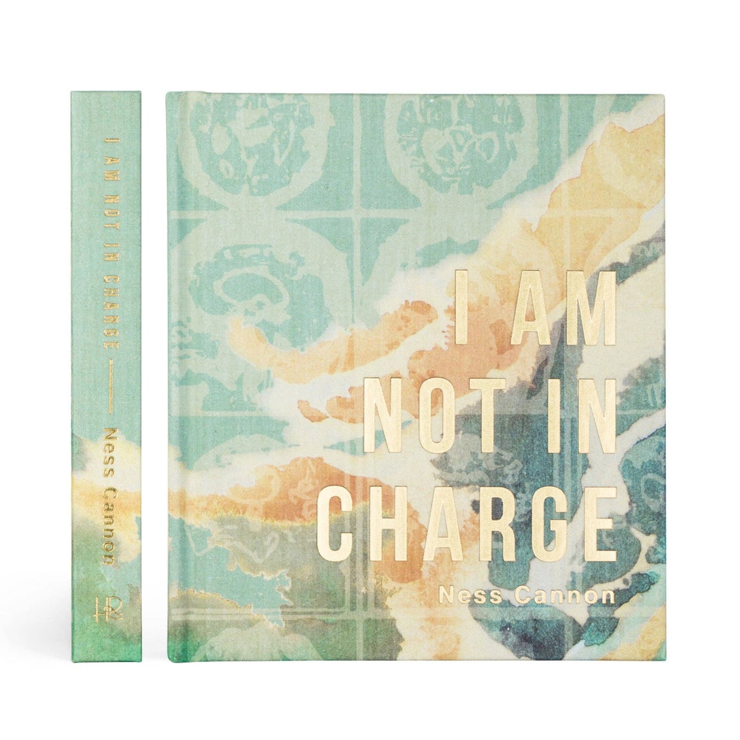 I Am Not In Charge - Bible Study