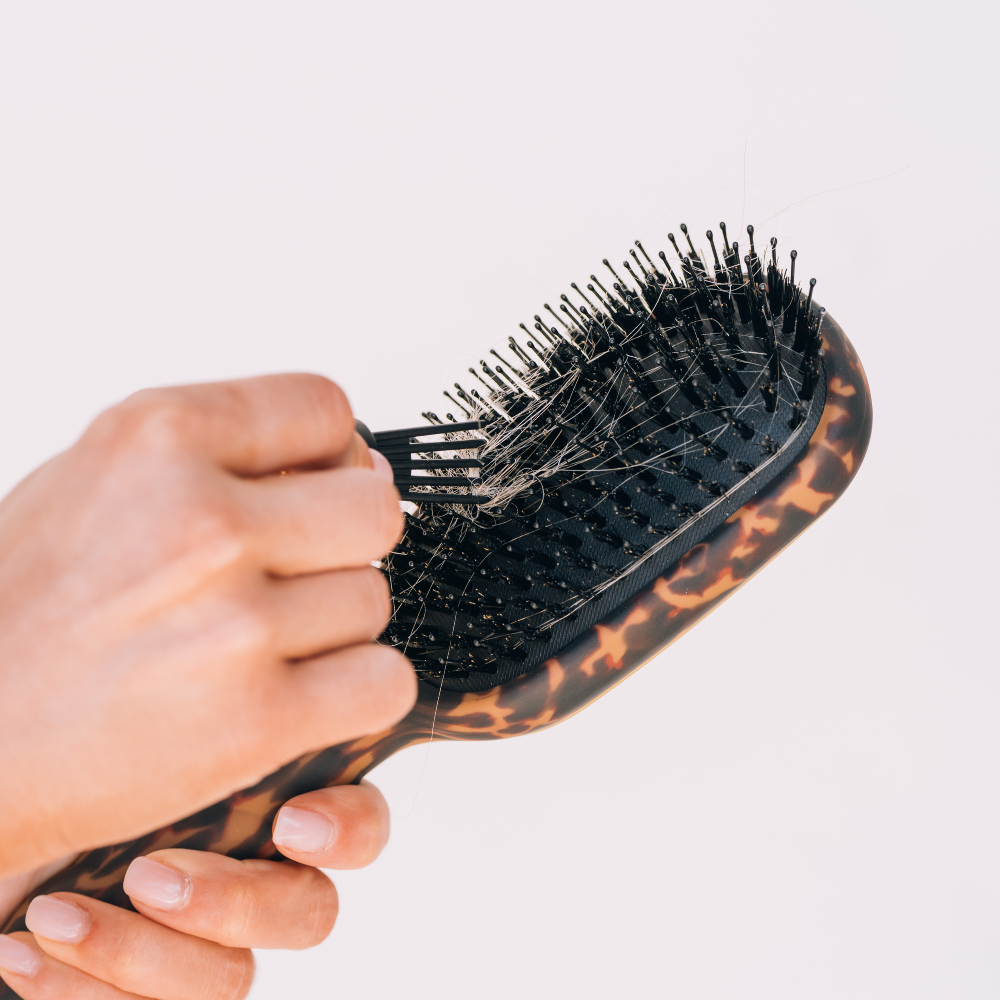 Boar Bristle Hair Brush