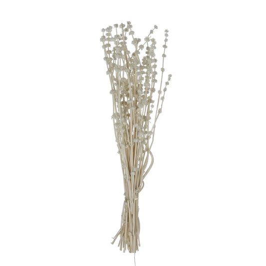 White Dried Natural Lion's Tail Bunch