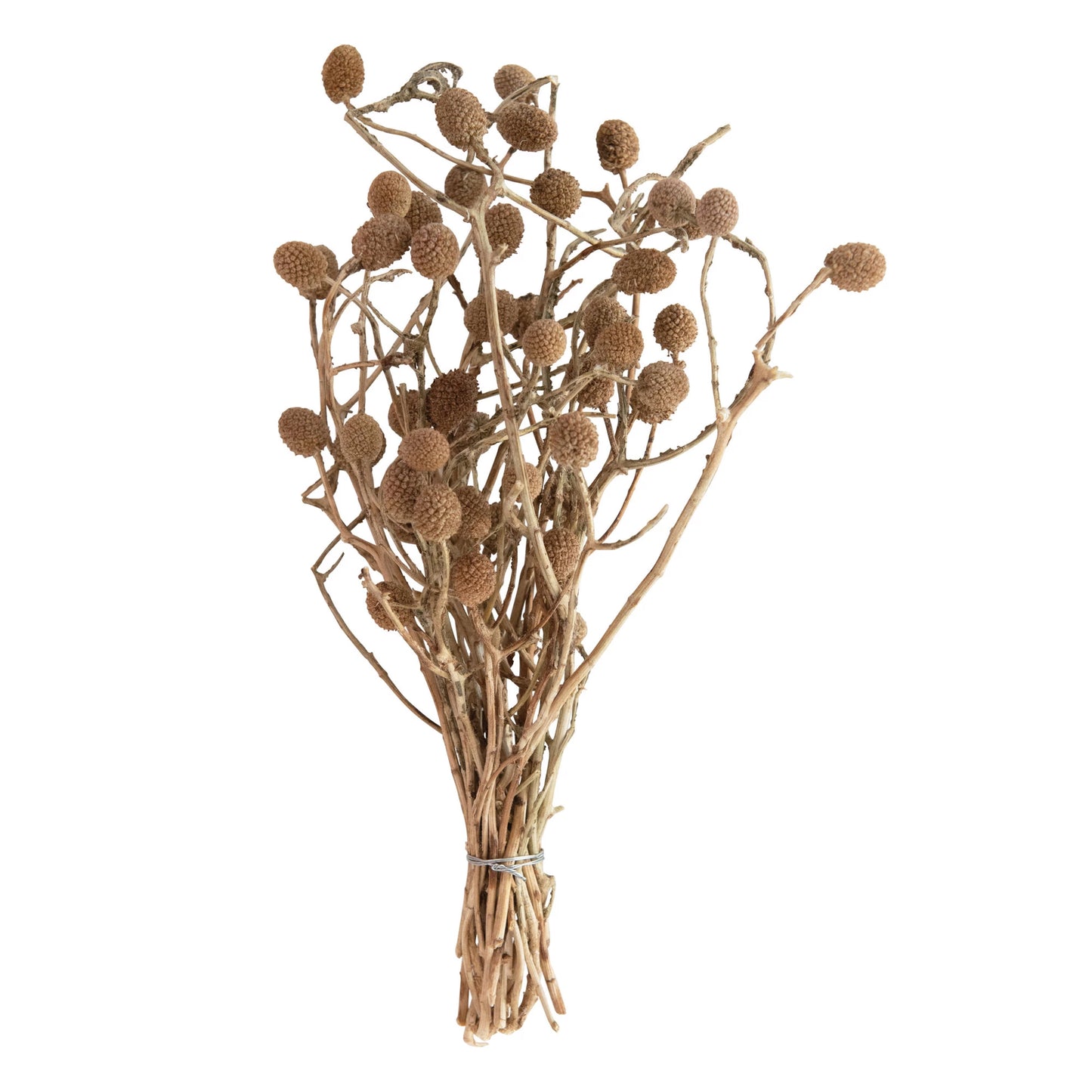 12" Dried Bora Bouquet